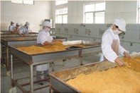 精選肉松批發 黃金松、原味、辣味、雞肉松一站式供應，量大優惠包郵