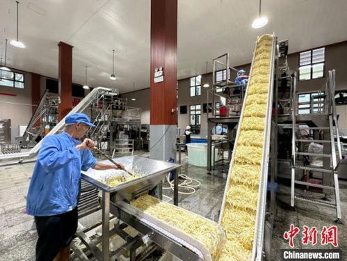 小竹筍闖出大世界 江西樂安做優做強竹筍產業，鋪就鄉村致富路